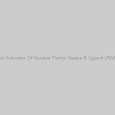 Image of Mouse Receptor Activator Of Nuclear Factor Kappa B Ligand (RANkL) ELISA Kit